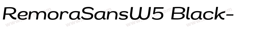 RemoraSansW5 Black字体转换